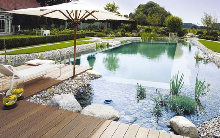 Piscine naturelle